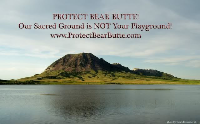 Bear Butte Banner