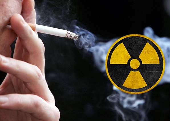 Radioactive tobacco