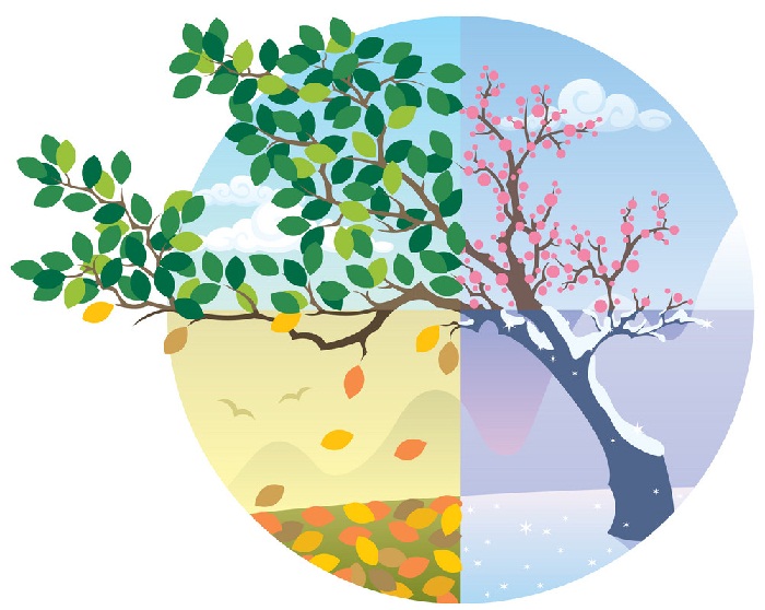 The 6 Seasons In Nature - GATHER & GROW