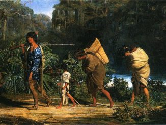 The Choctaw Removal