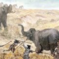 Hunting Mastodons