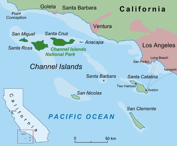 The Channel Islands in the Terminal Pleistocene