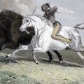horse-mounted buffalo hunters