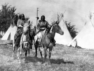 The Horse and the Plateau Indians