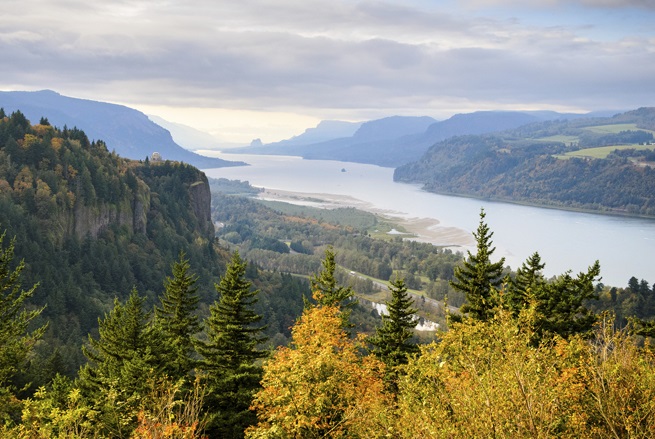 The Lower Columbia River Area