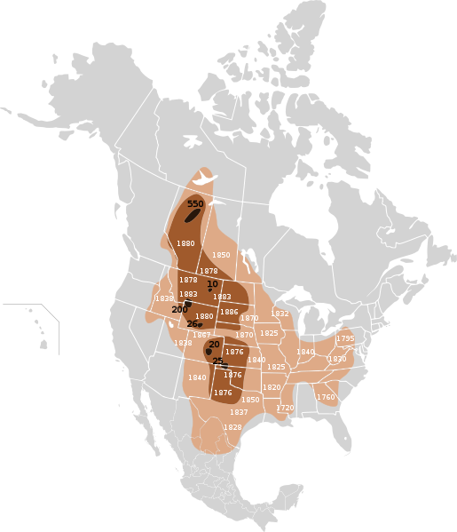 Buffalo 19th century