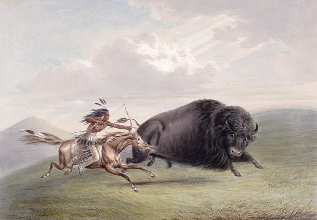 Buffalo Hunt by Catlin