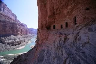 Grand Canyon ancestors