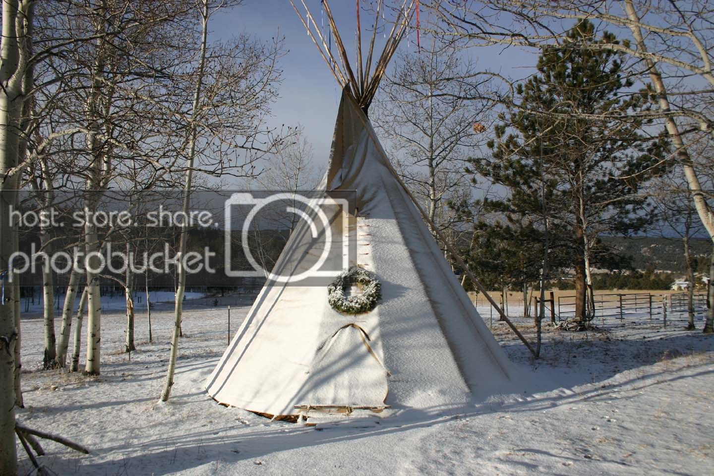Christmas TiPi Pictures, Images and Photos