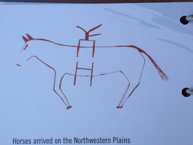 Horse Pictograph