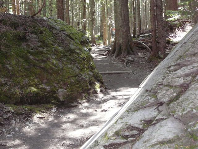 Trail 5