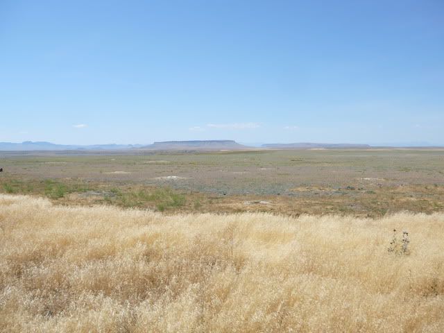 Landscape 2