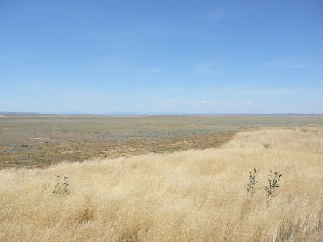 Landscape 3