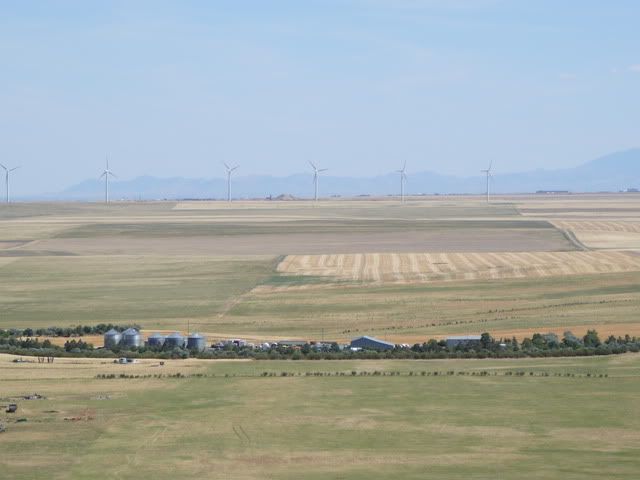 Modern Landscape