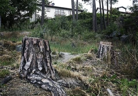 Preserve The Past – Protect The Future – Save Our Sacred Sites !