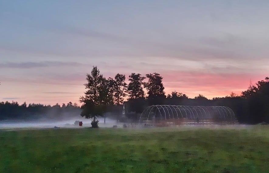 Healing Turtle Island