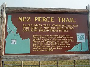 Gold and the Nez Perce