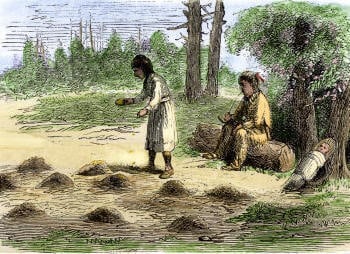 Aboriginal Farming in New England