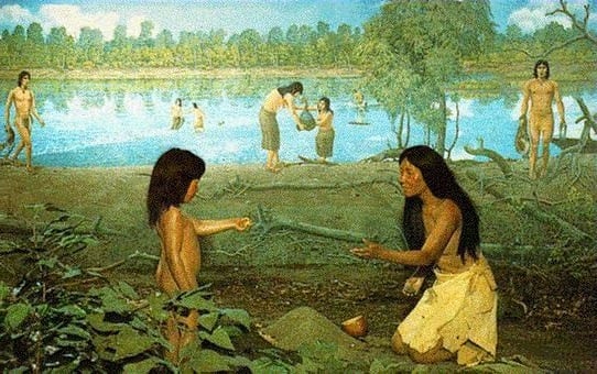 Indian people consumed a great variety of different plants