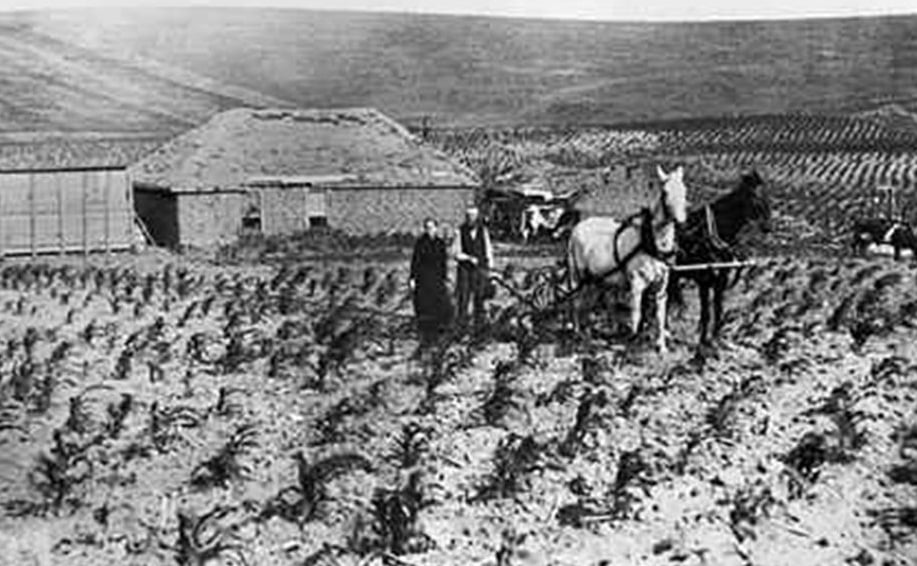 Farmers on the Northern Plains
