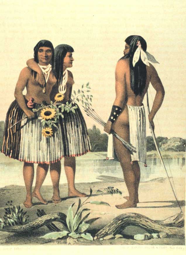 Medicinal Plants Used by the Chumash Indians