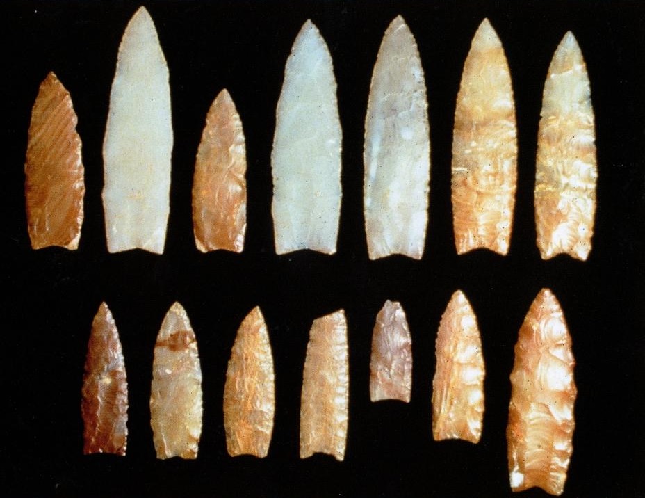 A Plateau Clovis Cache