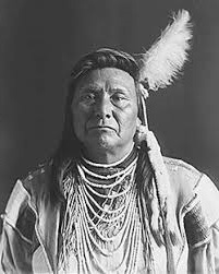 Nez Perce Political Organization