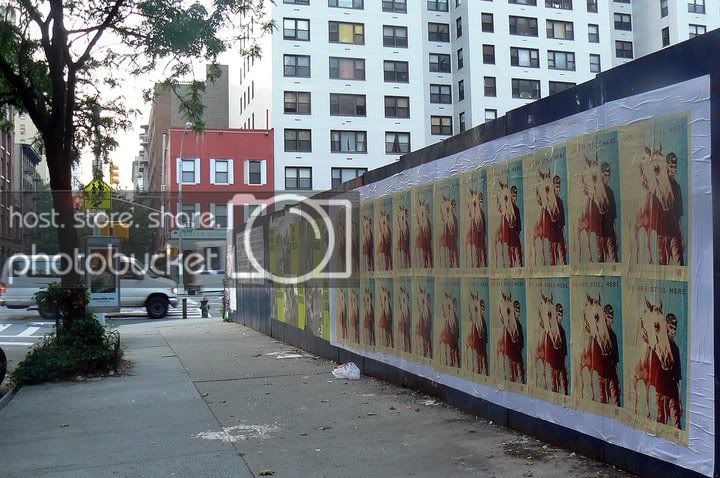 Pine Ridge Poster Project