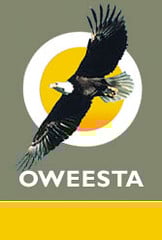 Oweesta logo