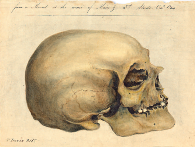 Skull 2