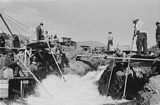 Celilo Falls