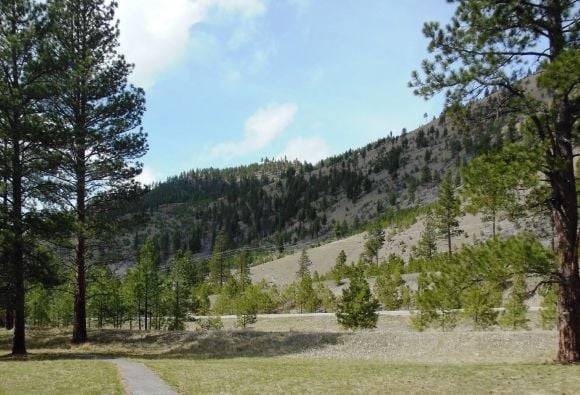 14 photo DSCN6684_zps4d7e8f84.jpg