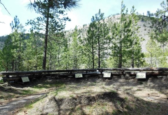 15 photo DSCN6685_zps8acbda6a.jpg