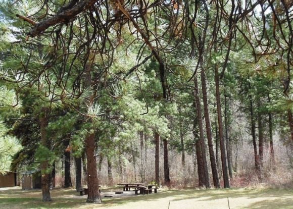 22 photo DSCN6695_zpsf71db3c3.jpg