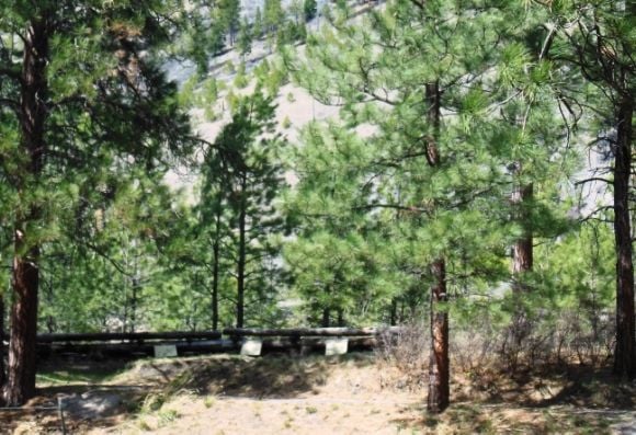 23 photo DSCN6696_zps3be85cce.jpg