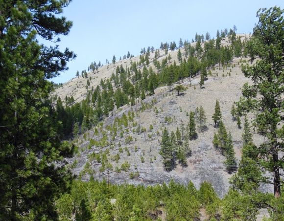 24 photo DSCN6697_zps15fd49bc.jpg