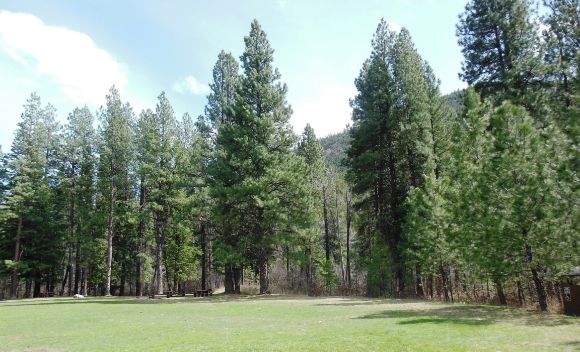 25 photo DSCN6698_zpse5e4c066.jpg