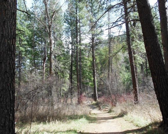 28 photo DSCN6702_zpseb926bd6.jpg