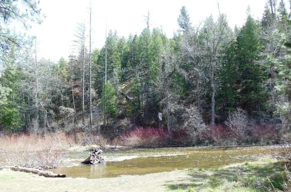 1 photo DSCN6703_zpsdcfc2174.jpg