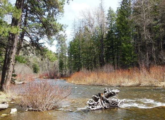 3 photo DSCN6705_zps2ee627e7.jpg