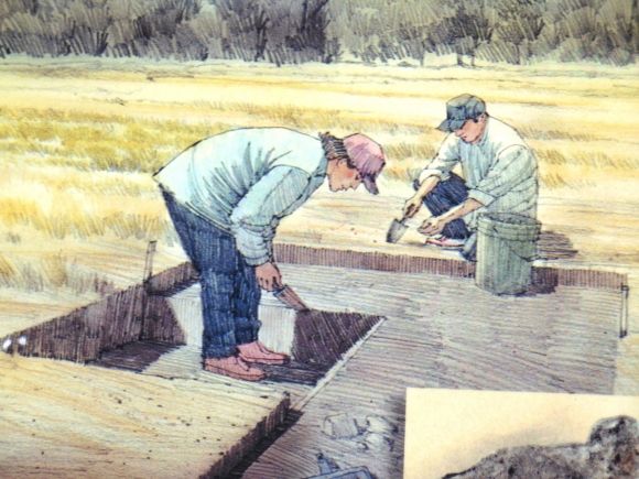 photo DSCN6722_zps059e42a4.jpg