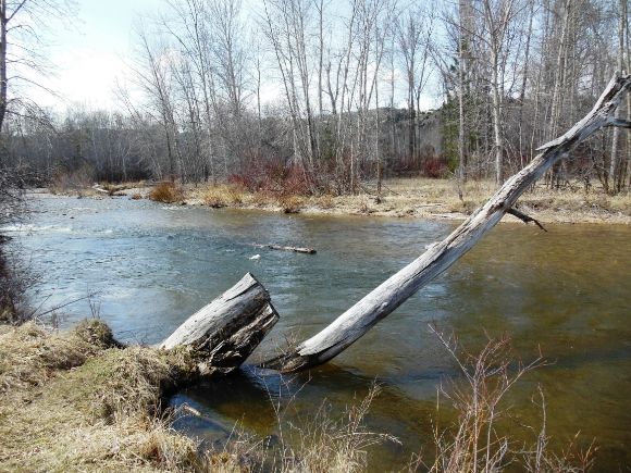 photo DSCN6727_zps2409d88a.jpg