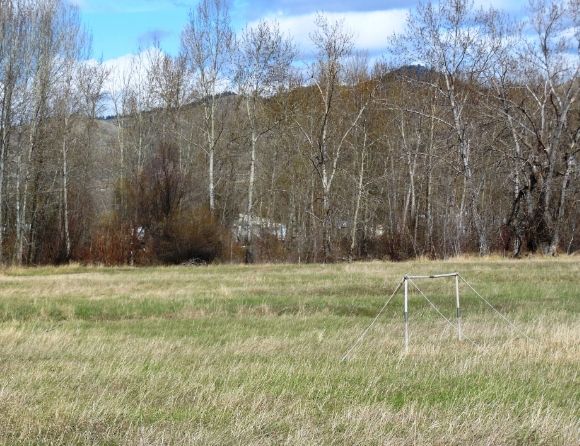 photo DSCN6732_zps56981e9d.jpg