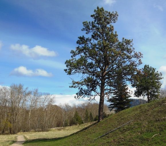 photo DSCN6733_zps3c81b9cd.jpg