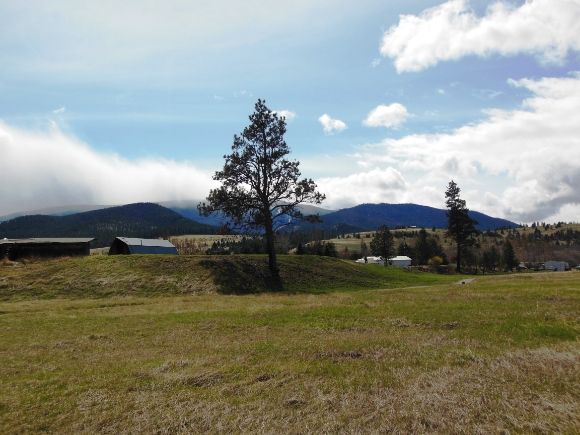 photo DSCN6738_zps4f760568.jpg