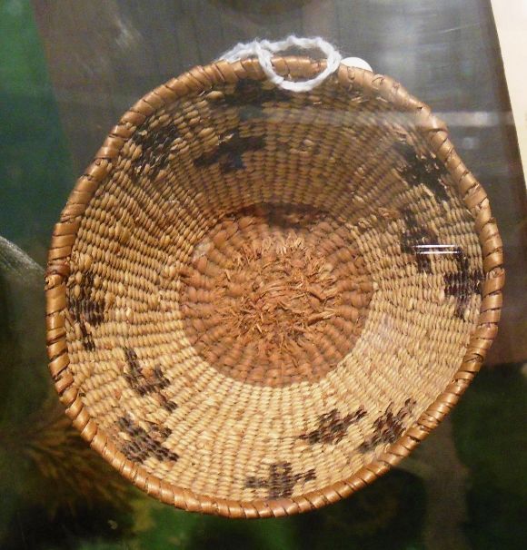 7892 photo DSCN7892_zpsd5ffda5e.jpg