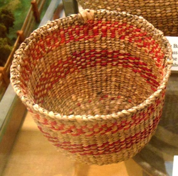 7893 photo DSCN7893_zps3eb75745.jpg