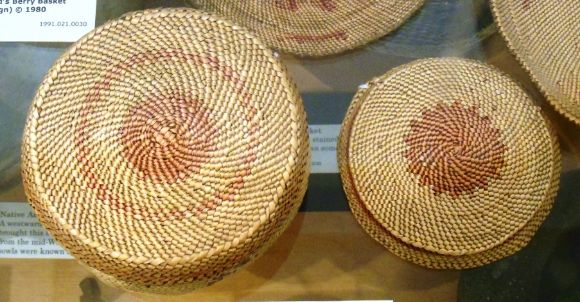 7895 photo DSCN7895_zps2ba23697.jpg