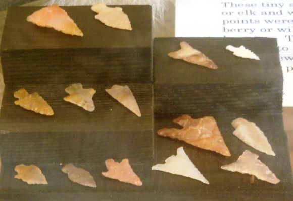 7912 photo DSCN7912_zps00a0ad1c.jpg