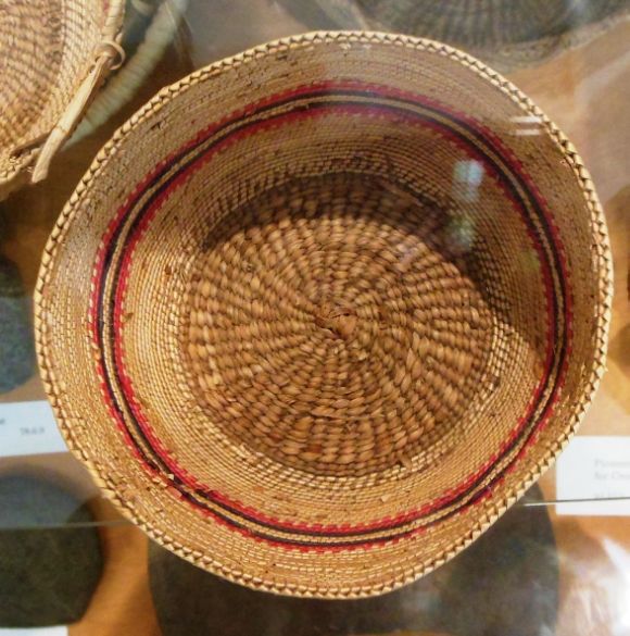 7981 photo DSCN7981_zps9050639d.jpg